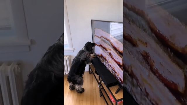 Приколы