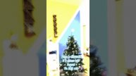 Собираю новогоднюю ёлку 🎄✨ Праздничная магия в каждый момент!