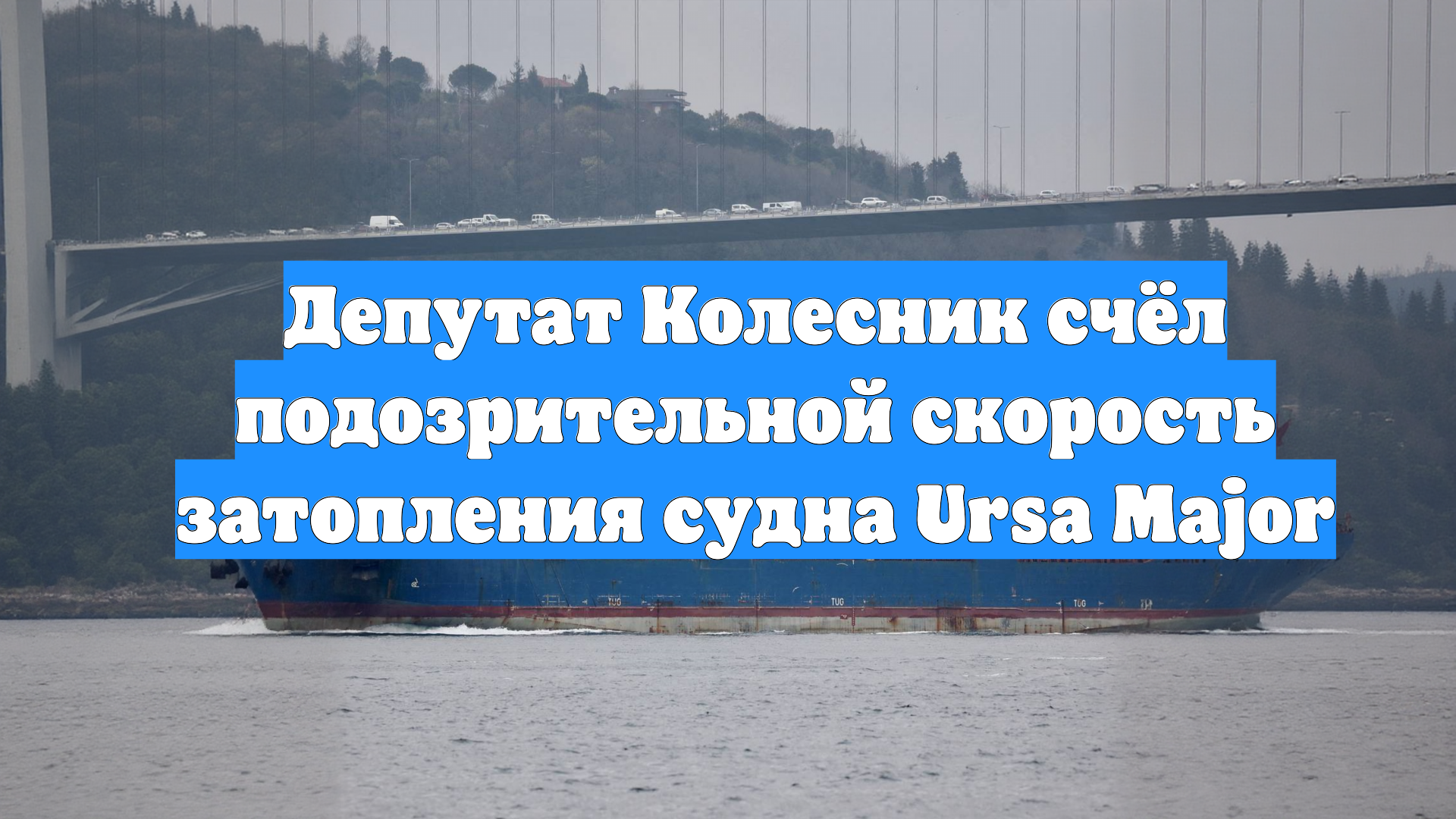 Депутат Колесник счёл подозрительной скорость затопления судна Ursa Major