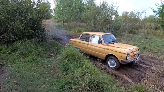 Я мою Паджеро - Рома застрял на Запоре - а кошка рожает...