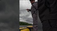 ВОТ ЭТО ВЖАРИЛ!!! ПОИМКА ТРОФЕЙНОГО СОМА!!! #рыбалка #fishing #carpfishing #рыба #fish #angler