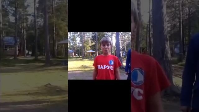 -8365566188649049553
