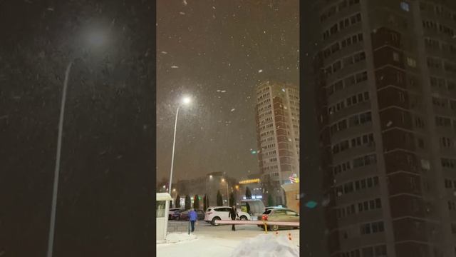 Снег.  Декабрь 2024 г.