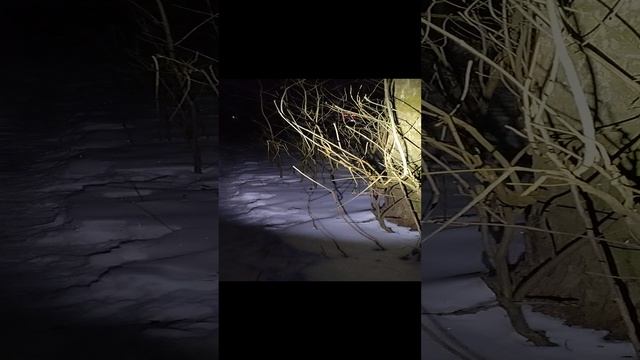 Прогулка по зимнему лесу.Фонарь Convoy S2+,sst 40, 5000 K, 4 режима работы.