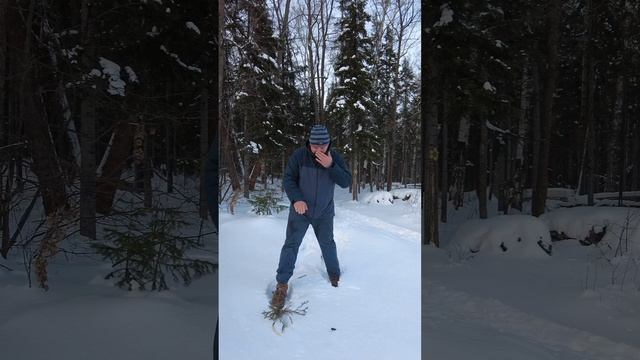 Снегоступы