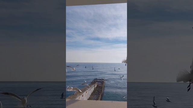 Море