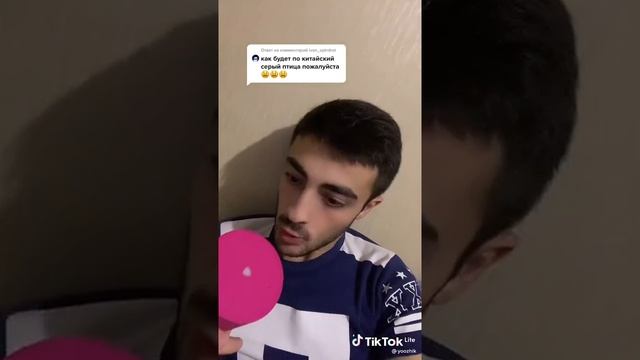 Алиса по-китайскому серая птица х****
