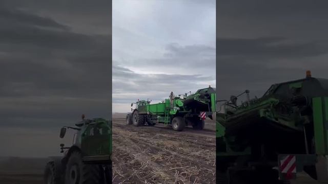 Уборочные в полях Малиновки