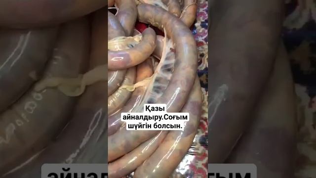 Қазы айналдыру Соғым шүйгін болсын.# қазыайналдыру# соғым# #ерекшетағам #гулдана #вкусный #