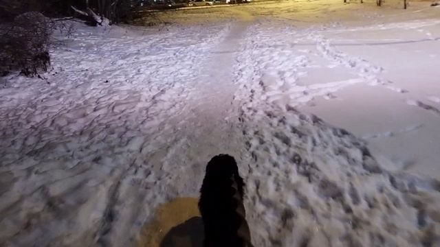 28. Влог. 26 декабря 24г.