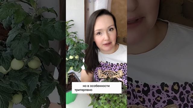 💥 СТОП! Ты кормишь растения ПУСТЫШКАМИ? 😱🌱