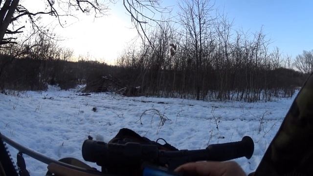Охота 2019. Засидки по снегу.