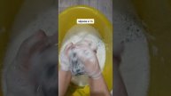 чёрное и 🐅