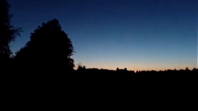 Стрекотание цикад в сумерках / The drone of cicadas at dusk