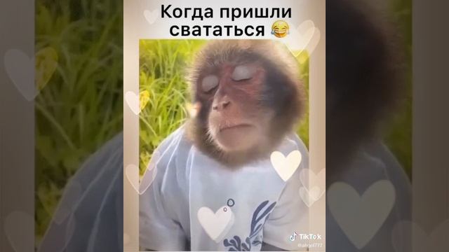 Какова красота!!!