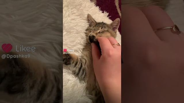 1000008187.mp4