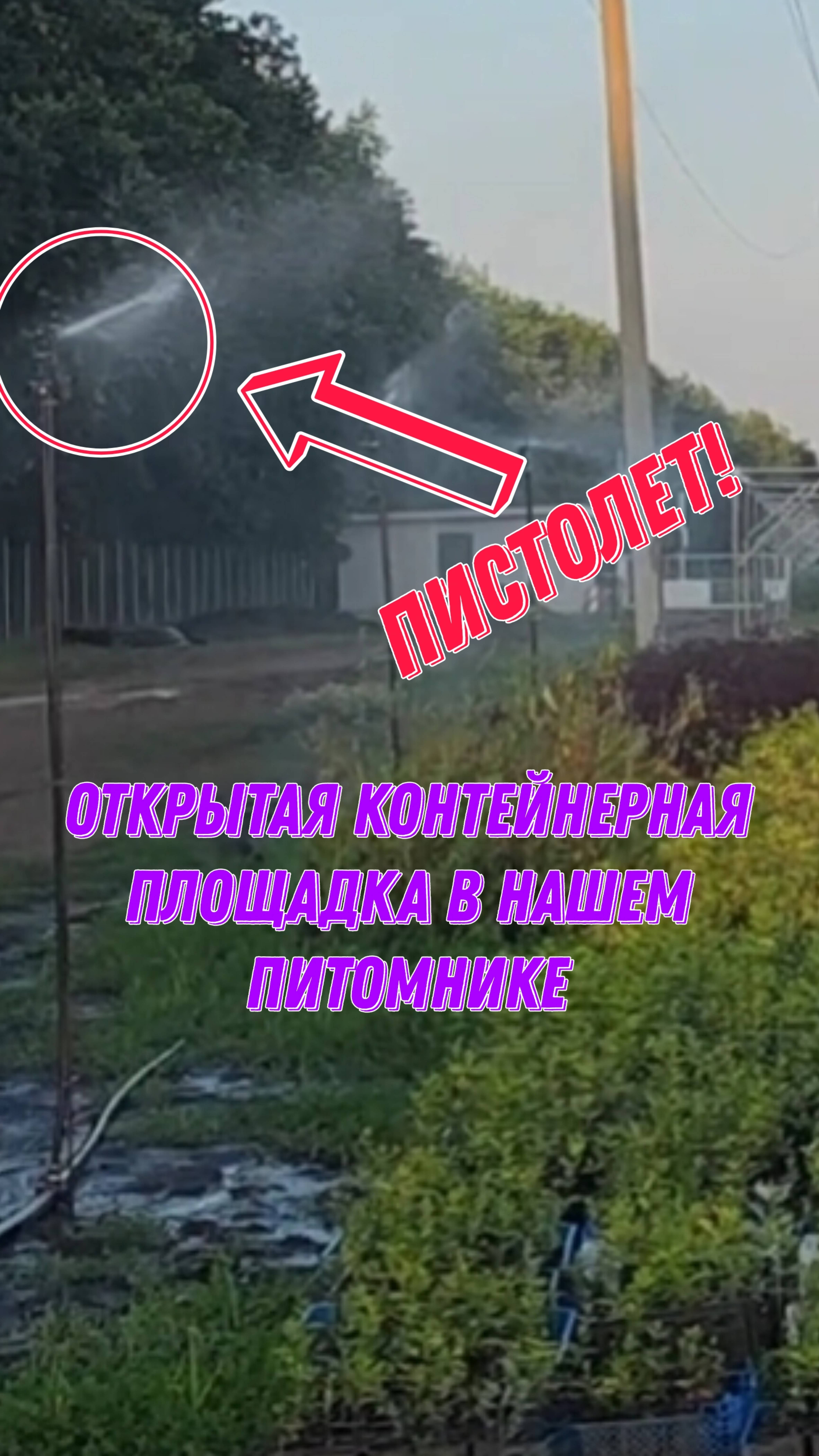 ОТКРЫТАЯ КОНТЕЙНЕРНАЯ ПЛОЩАДКА в нашем питомнике! Пистолеты(сплинкера)...