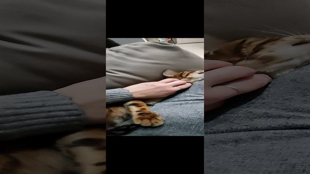 1000043192.mp4