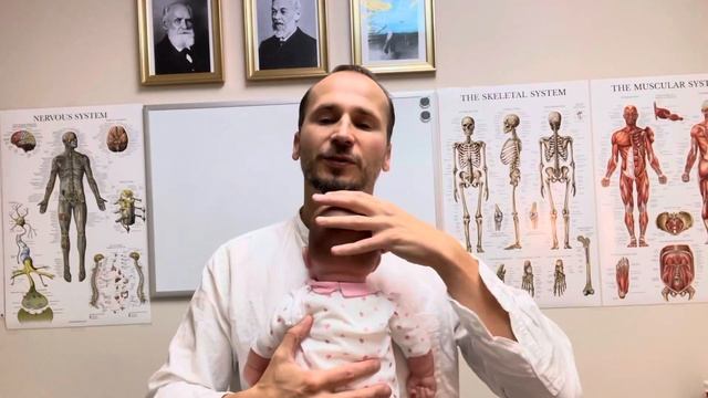 Область голова, шея, плечи. Лёжа на животике, на родителе. Массажные движения, малыши.