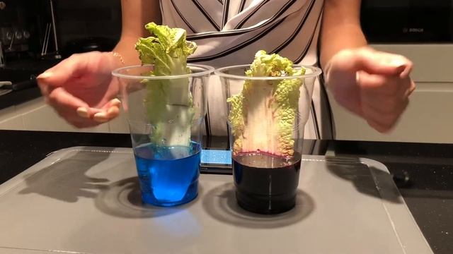 Опыты с водой