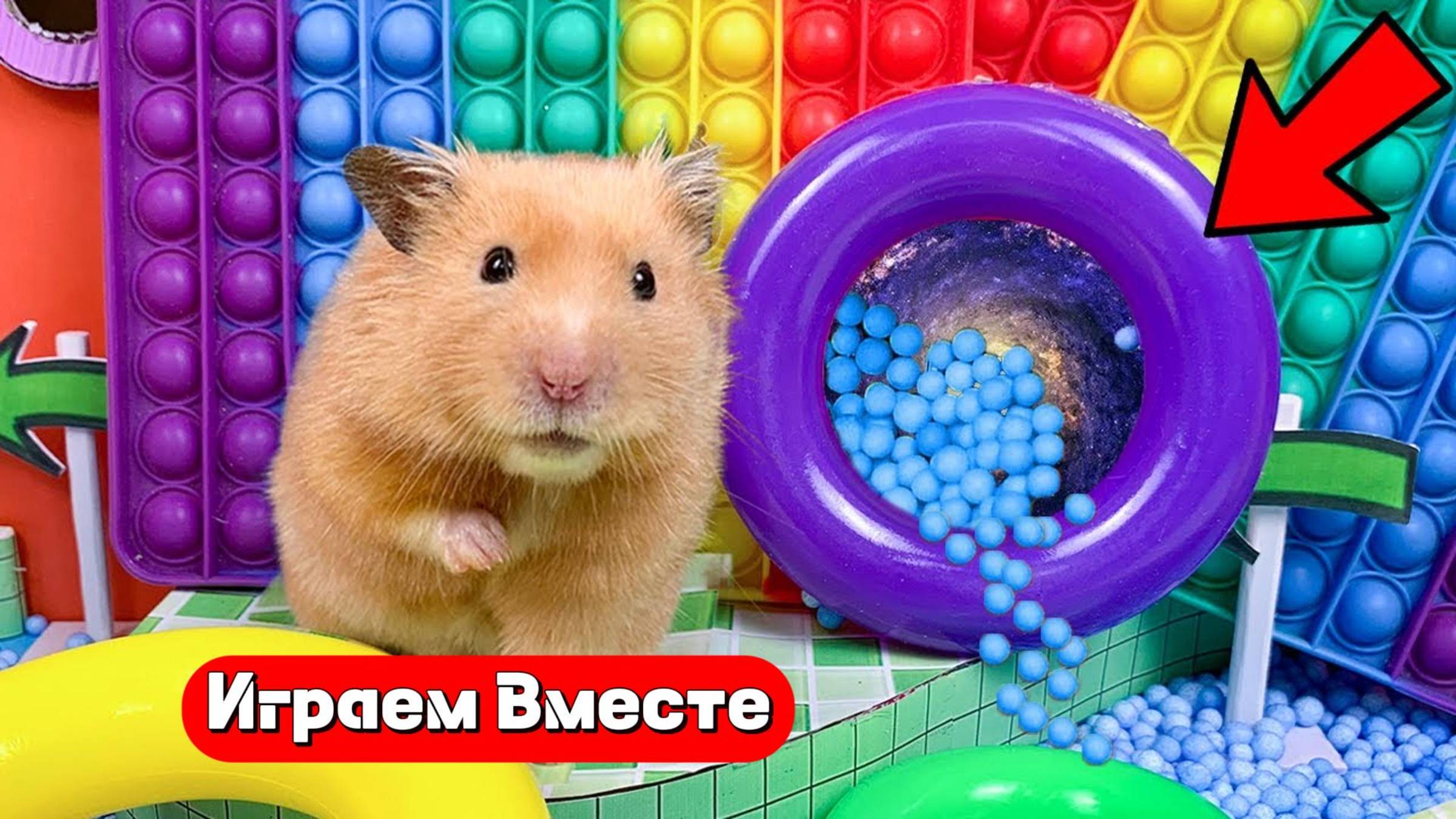 Помогаем Хомяку выбраться из лабиринта полного ловушек 🐹 Видео для детей