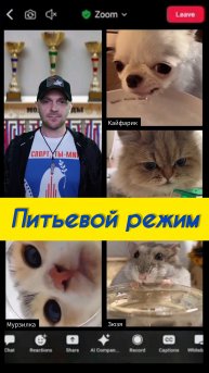 Питьевой режим