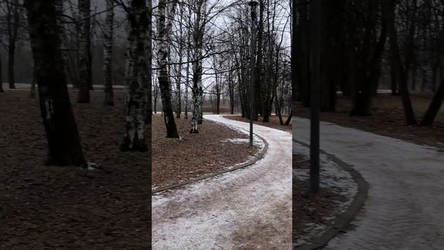 Как так #земнойирий #природа #парк #белочки #белки #животные