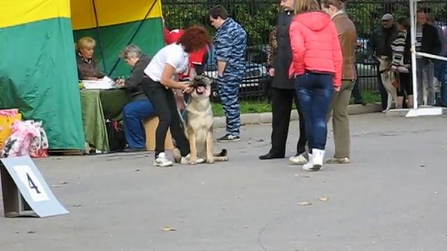 MVI_3582.AVI Трофим