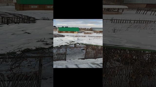 2022 год, снега в Сибири много
