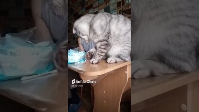9 декабря 2024 г..mp4