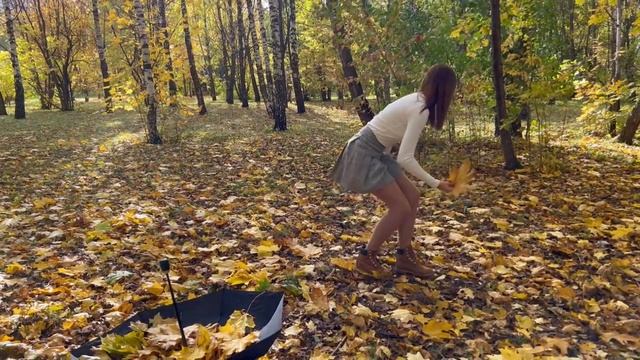 Осенняя прогулка