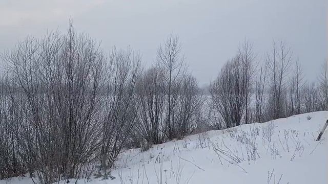 Снег кружится, летает, летает...