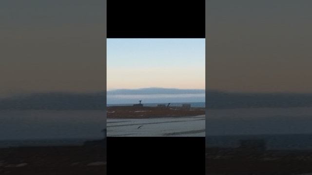 1000009663.mp4