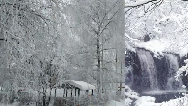 зимние картинки