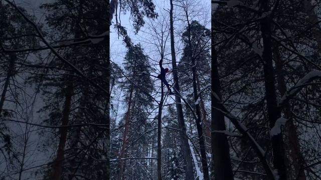 Загнал в угол человека паука