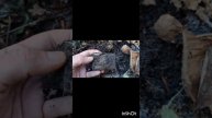 1000022817.mp4