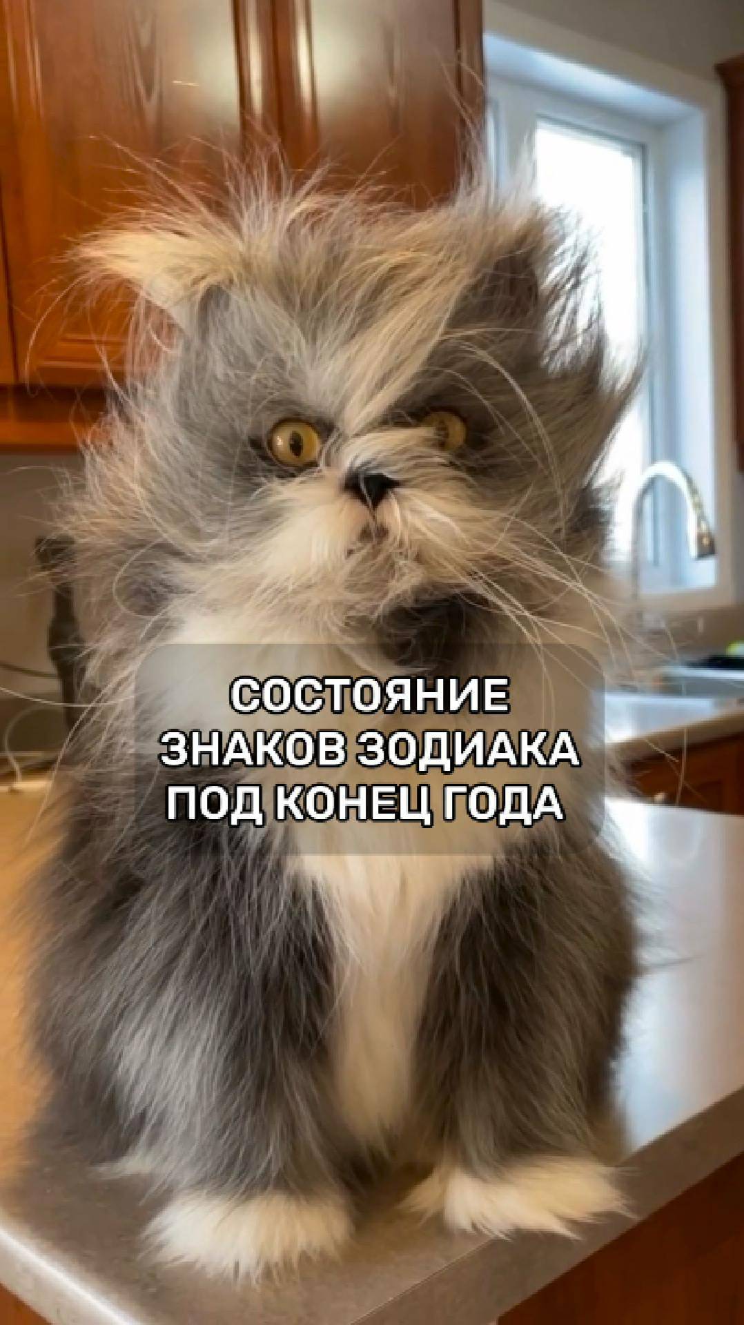 Состояние знаков зодиака под конец года 😱 #астролог #астрология #натальнаякарта #знакизодиака