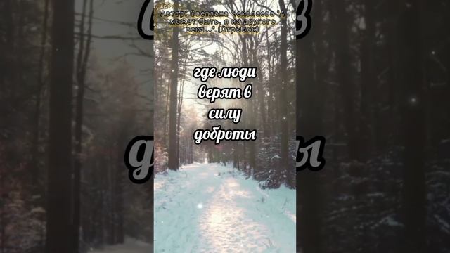 #shorts #стихи #цитаты