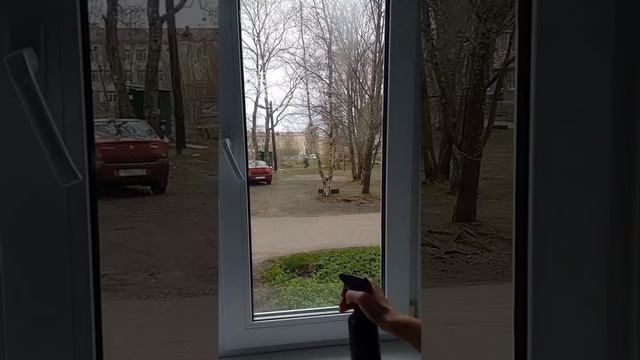 Моем окна без разводов.