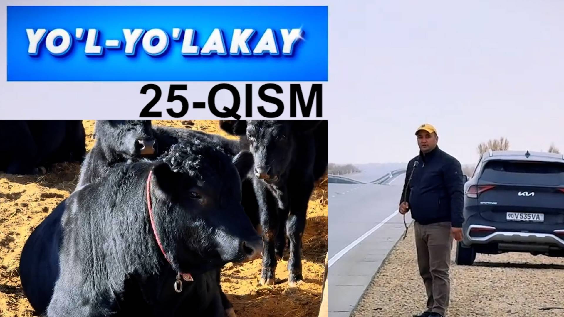 YOʻL YOʻLAKAY 25-QISM.  BALIQ VA MOL BIZNES. TUPROQQAL'A  TUMANI