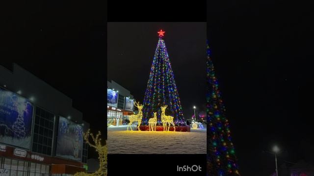 InShot_20241226_132259935.mp4