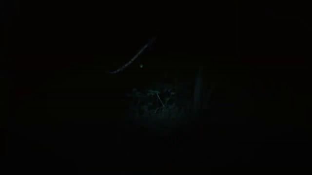 Emerge Sessions: Tony Volker 'Shadow Dance'