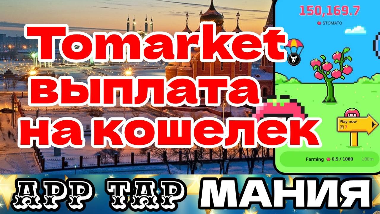 Tomarket выплата в кошелек