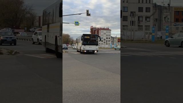 Миниролик #1338 х502ом на 441#автобусЛиАЗ #ЛиАЗ #рекомендации #рек #автобуснефаз