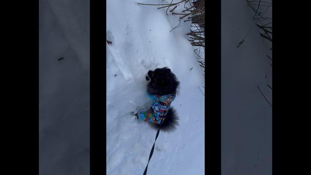 Каждый день......