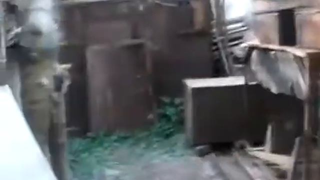 птичка свила гнездо  kVqfEi7nso