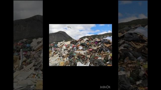 Видео к экорисунку Богдан Дарья го Мытищи