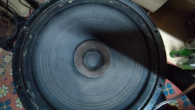 1000239686.mp4
