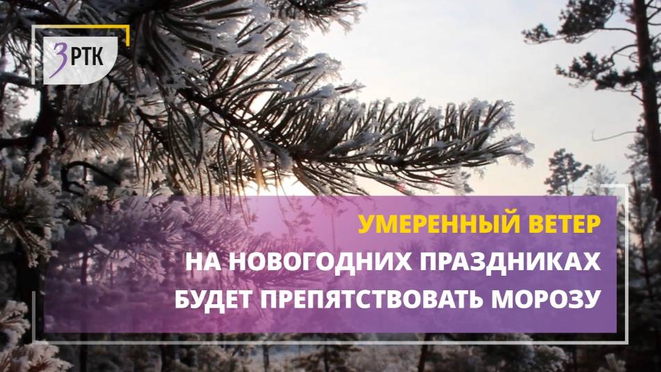 Умеренный ветер на новогодних праздниках будет препятствовать морозу