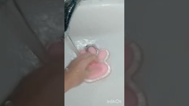 InShot_20241226_112448955.mp4